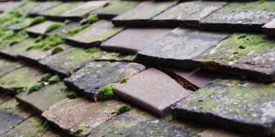 Papworth St Agnes roof repair costs